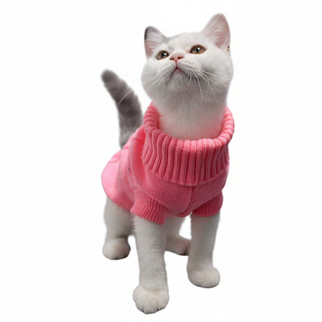 Cat wearing a pink sweater on a gray background