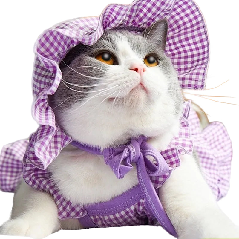 Cat wearing a purple checkered outfit with a hat
