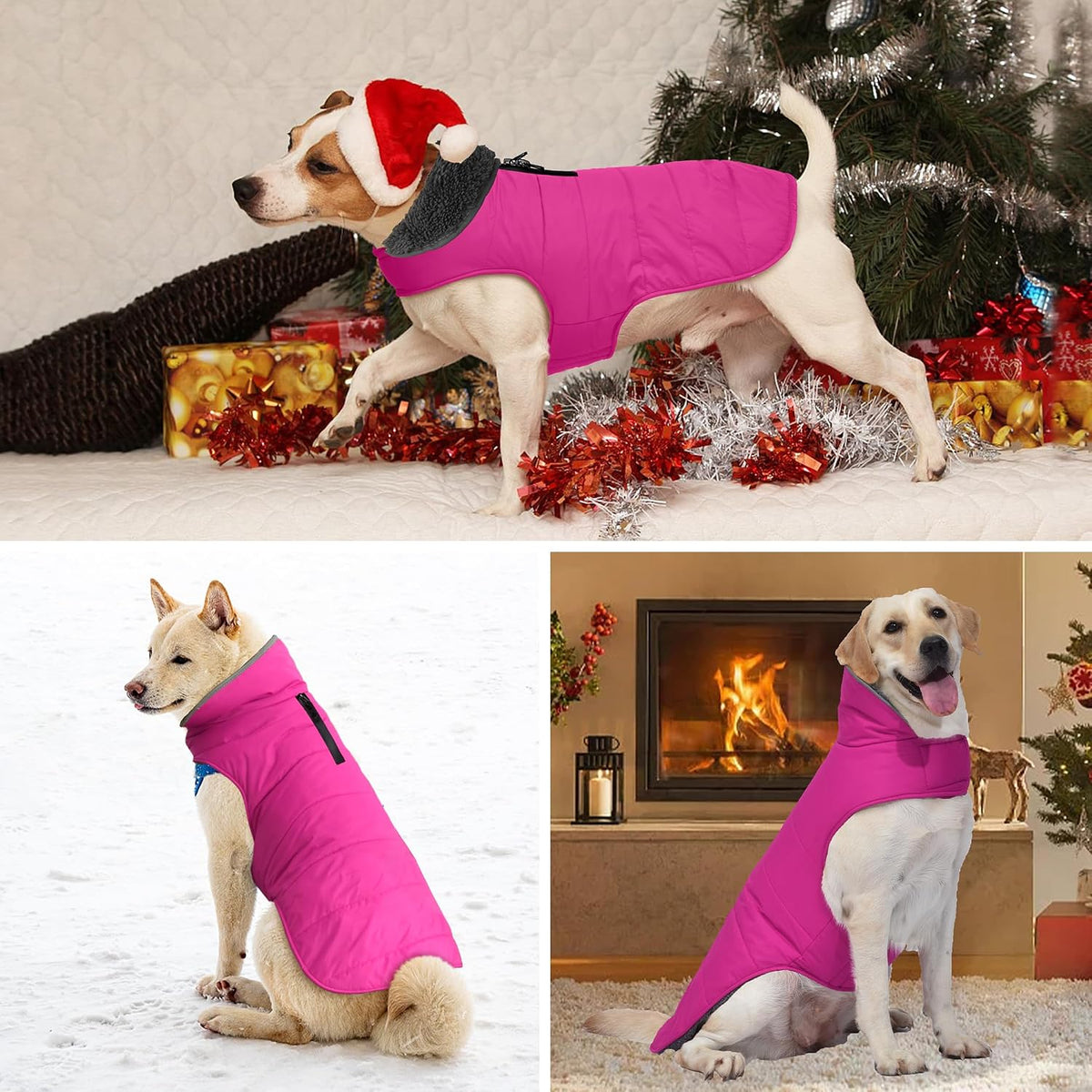 Fleece Lined Dog Winter Coat with Leash Hole