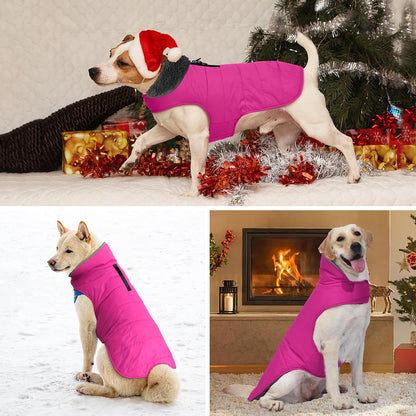 Fleece Lined Dog Winter Coat with Leash Hole