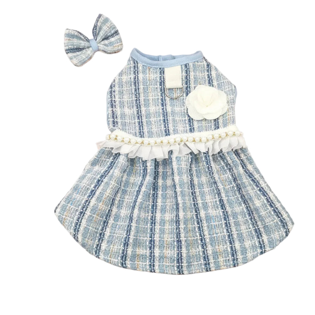 Dog dress with accessories on a beige background