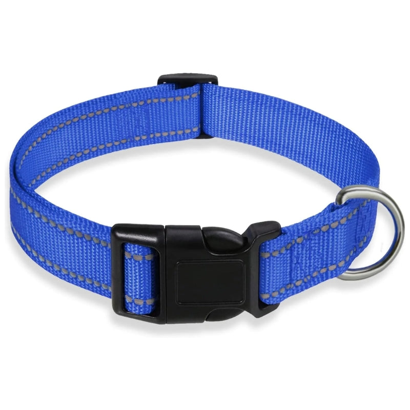 A blue nylon dog collar with gray contrast stitching, a black plastic quick-release buckle, and a silver metal ring, shown on a white background.