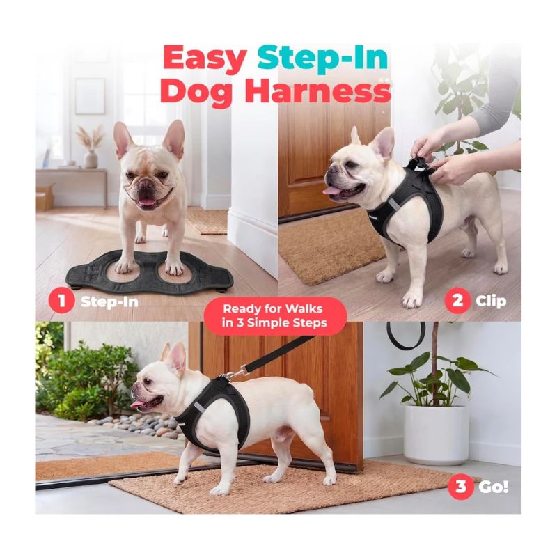 Best Pet Supplies Step-In Breathable Air Mesh Dog Vest Harness - Black