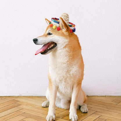 Straw Pet Sombrero Hat with Pom-Poms