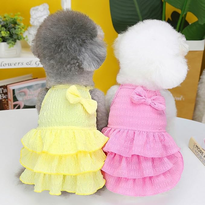 Two small dogs wearing colorful dresses on a white surface with a yellow wall in the background.