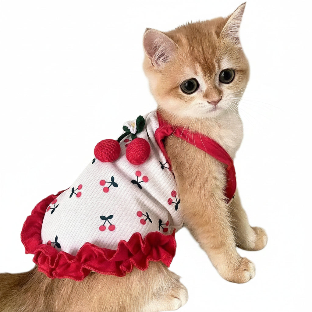 A small orange kitten wearing a white pet dress with a red cherry print and red ruffled trim, sitting on a light green striped bedsheet.